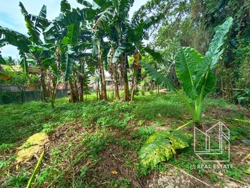 564sqm Vacant Lot for Sale in Sorsogon City near DPWH