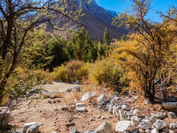 Terreno de 2.2 hectáreas en Cochiguaz, Valle del Elqui. $280 millones