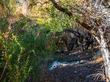 Terreno de 2.2 hectáreas en Cochiguaz, Valle del Elqui. $280 millones