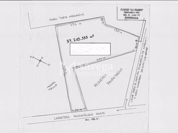 VENTA DE TERRENO EN BARRANCA - 3 HECTAREAS PARA SEMBRIO