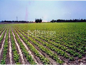 VENTA DE TERRENO EN BARRANCA - 3 HECTAREAS PARA SEMBRIO