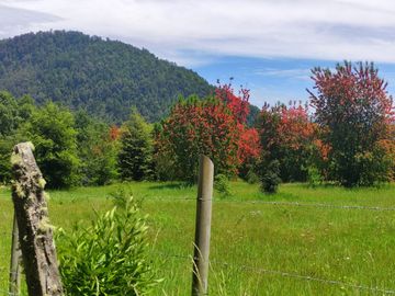 Espectacular Parcela De 1ha En Neltume, Panguipulli