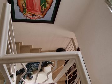 Casa en Privada de 3 Recamaras, Real Navarra Pachuca Hidalgo