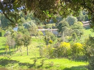 Lotes en venta desde 15.000m2 en hermosa hacienda de 45Ha.  vía Cumbe La Paz