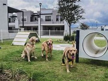 TU NUEVO DEPARTAMENTO PACHUCA TE ESPERA¡¡!! CON CISTERNA