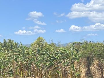 Affordable Pre-selling 996 sqm Farm Lot for sale in Magallanes Cavite