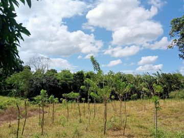 Affordable Pre-selling 996 sqm Farm Lot for sale in Magallanes Cavite