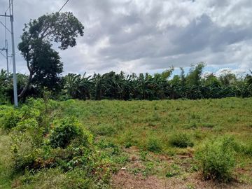 Affordable Pre-selling 996 sqm Farm Lot for sale in Magallanes Cavite
