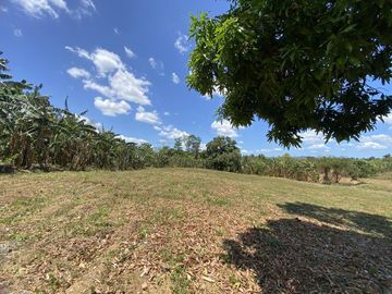 Affordable Pre-selling 996 sqm Farm Lot for sale in Magallanes Cavite