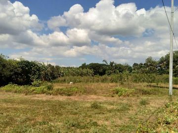 Affordable Pre-selling 996 sqm Farm Lot for sale in Magallanes Cavite