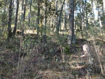BELLO TERRENO EN LA ESTANZUELA, $200 el m2 CERCA DE LA PRESA EL CEDRAL