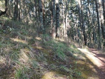 BELLO TERRENO EN LA ESTANZUELA, $200 el m2 CERCA DE LA PRESA EL CEDRAL