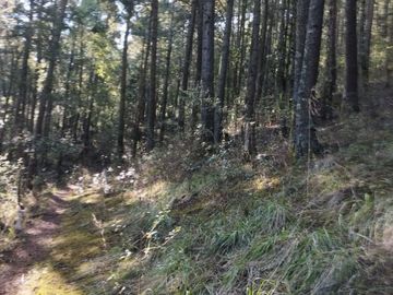 BELLO TERRENO EN LA ESTANZUELA, $200 el m2 CERCA DE LA PRESA EL CEDRAL