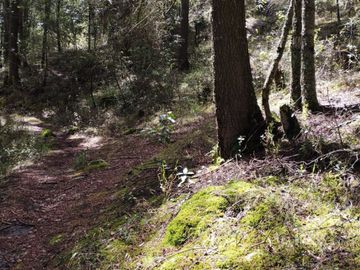 BELLO TERRENO EN LA ESTANZUELA, $200 el m2 CERCA DE LA PRESA EL CEDRAL