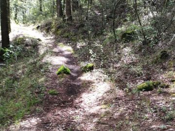 BELLO TERRENO EN LA ESTANZUELA, $200 el m2 CERCA DE LA PRESA EL CEDRAL