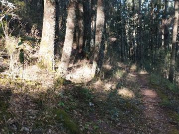 BELLO TERRENO EN LA ESTANZUELA, $200 el m2 CERCA DE LA PRESA EL CEDRAL