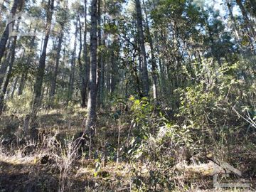 BELLO TERRENO EN LA ESTANZUELA, $200 el m2 CERCA DE LA PRESA EL CEDRAL
