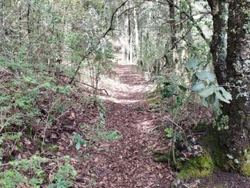 BELLO TERRENO EN LA ESTANZUELA, $200 el m2 CERCA DE LA PRESA EL CEDRAL
