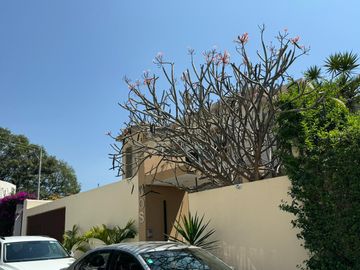 Casa en Venta en Tlaltenango, Cuernavaca, Morelos con 3 Habitaciones
