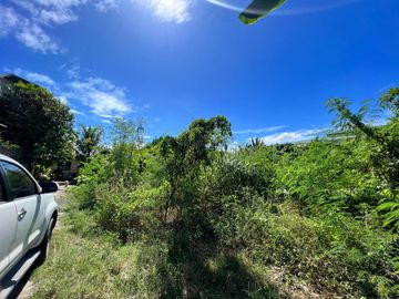 PRIME LOT FOR SALE IN LAPU-LAPU CITY NEAR OPON MARKET