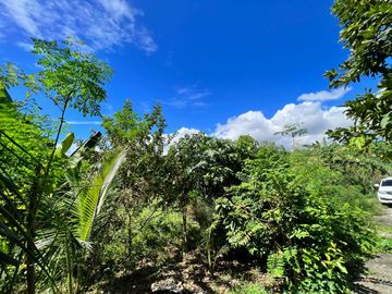 PRIME LOT FOR SALE IN LAPU-LAPU CITY NEAR OPON MARKET