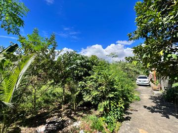 PRIME LOT FOR SALE IN LAPU-LAPU CITY NEAR OPON MARKET