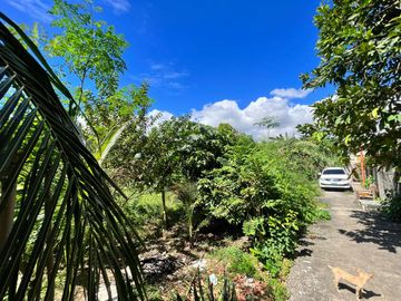 PRIME LOT FOR SALE IN LAPU-LAPU CITY NEAR OPON MARKET