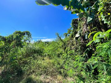 PRIME LOT FOR SALE IN LAPU-LAPU CITY NEAR OPON MARKET