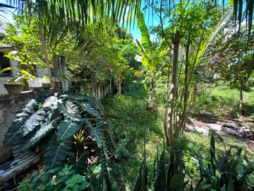 PRIME LOT FOR SALE IN LAPU-LAPU CITY NEAR OPON MARKET