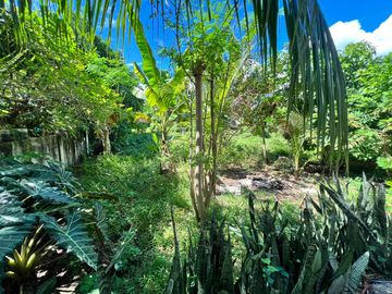 PRIME LOT FOR SALE IN LAPU-LAPU CITY NEAR OPON MARKET