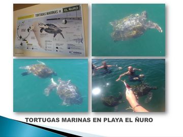 Terrenos en Vichayito, Los Órganos, Piura con vista al mar de 250 y 300 m2