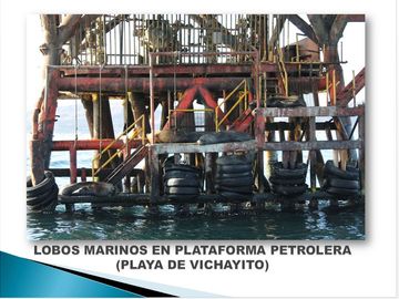 Terrenos en Vichayito, Los Órganos, Piura con vista al mar de 250 y 300 m2