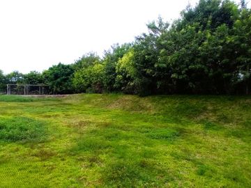 Venta De Casa Con Construccion En Casco Y Piscina En Azpitia, Fundo San Andres, Santa Cruz De Flores Cañete, 2441 M2 Area De Terreno , 570 M2 Area Cos