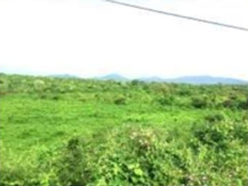 Venta de terreno de 897 Hectáreas