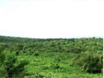 Venta de terreno de 897 Hectáreas