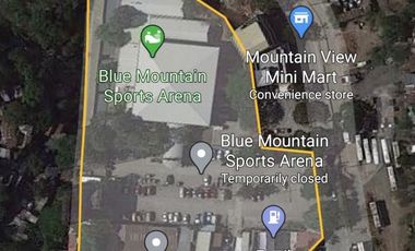 Open Land 1 Hectare For Sale Along Marcos Highway Antipolo Rizal
