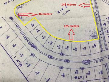 Open Land 1 Hectare For Sale Along Marcos Highway Antipolo Rizal