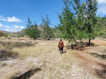 23 HECTARES TITLED PARCEL OF SHOREFRONT, BEACHFRONT, COVE FRONTAGE PORTION OF SILANGUIN ISLAND, SAN ANTONIO, ZAMBALES, PHILIPPINES