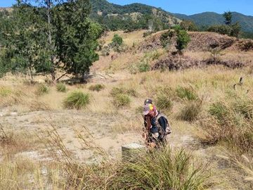 23 HECTARES TITLED PARCEL OF SHOREFRONT, BEACHFRONT, COVE FRONTAGE PORTION OF SILANGUIN ISLAND, SAN ANTONIO, ZAMBALES, PHILIPPINES