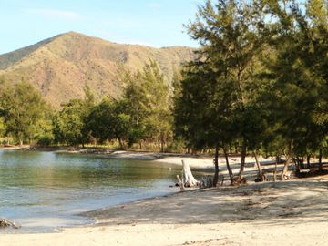 23 HECTARES TITLED PARCEL OF SHOREFRONT, BEACHFRONT, COVE FRONTAGE PORTION OF SILANGUIN ISLAND, SAN ANTONIO, ZAMBALES, PHILIPPINES