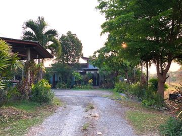 House sale,336.6Wa.,4bed,4bath, 8.5MB, near Maejo University, Nong Chom, San Sai, Chiang Mai.