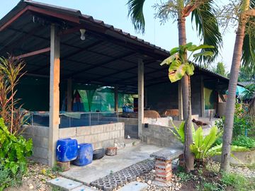 House sale,336.6Wa.,4bed,4bath, 8.5MB, near Maejo University, Nong Chom, San Sai, Chiang Mai.