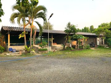 House sale,336.6Wa.,4bed,4bath, 8.5MB, near Maejo University, Nong Chom, San Sai, Chiang Mai.
