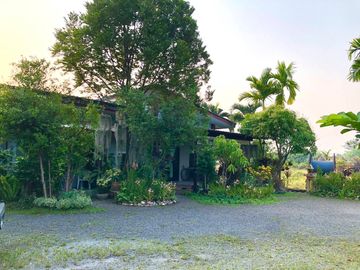 House sale,336.6Wa.,4bed,4bath, 8.5MB, near Maejo University, Nong Chom, San Sai, Chiang Mai.