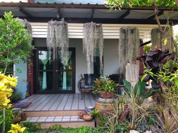 House sale,336.6Wa.,4bed,4bath, 8.5MB, near Maejo University, Nong Chom, San Sai, Chiang Mai.