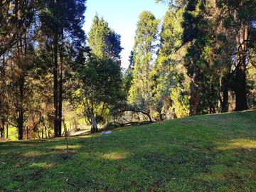 Excelente finca en Guarne
