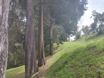 Excelente finca en Guarne