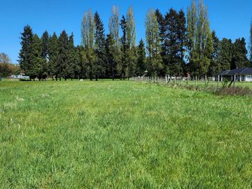Linda Parcela de 5000m2 a sólo 20km de Valdivia y colindante con río Calle Calle