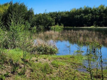 Linda Parcela de 5000m2 a sólo 20km de Valdivia y colindante con río Calle Calle