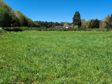 Linda Parcela de 5000m2 a sólo 20km de Valdivia y colindante con río Calle Calle